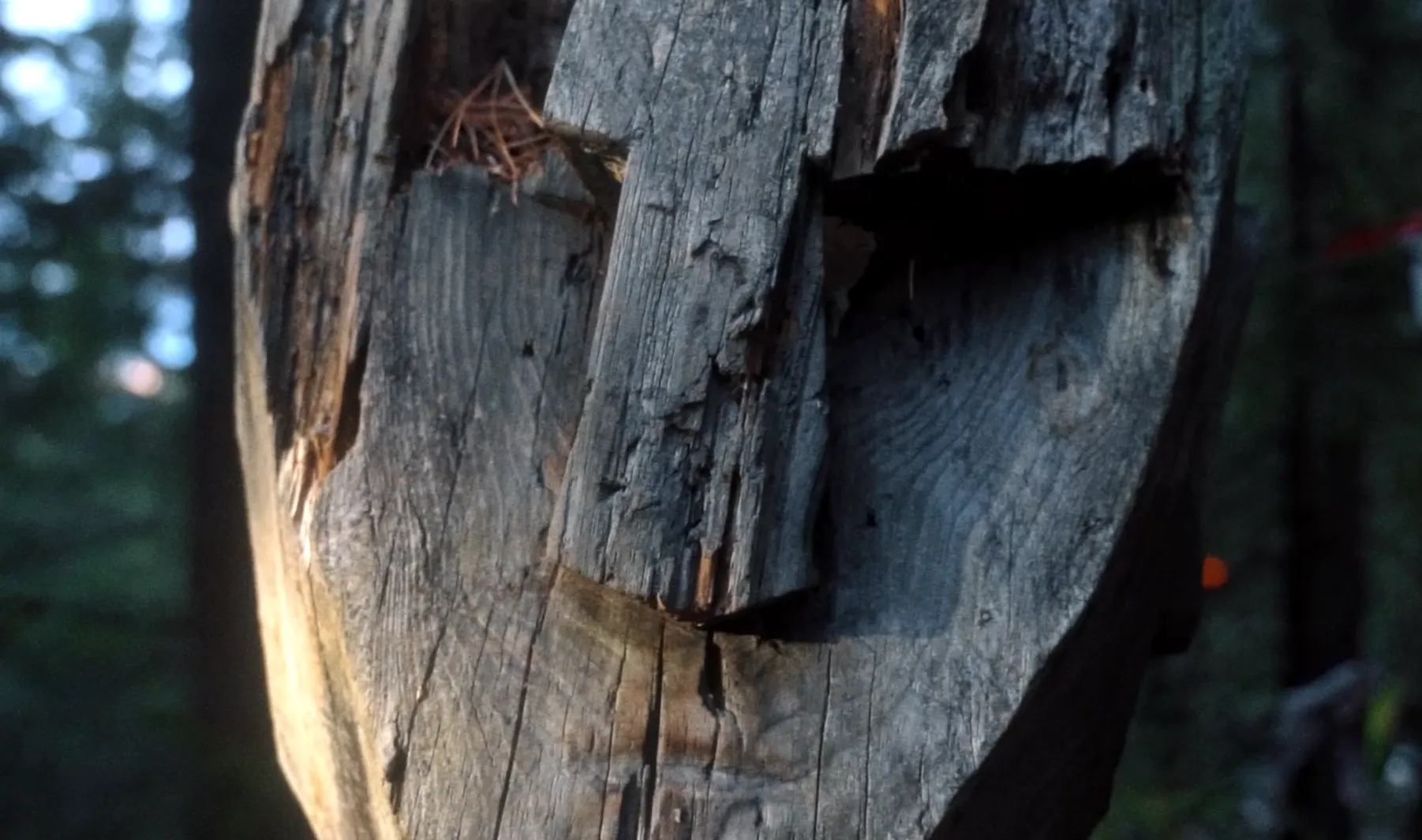 Ханты-Мансийский автономный округ